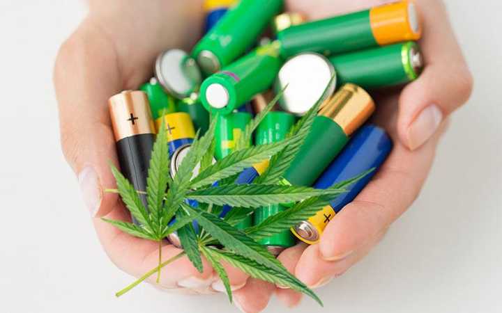 Hemp How it can change the Indian Economy